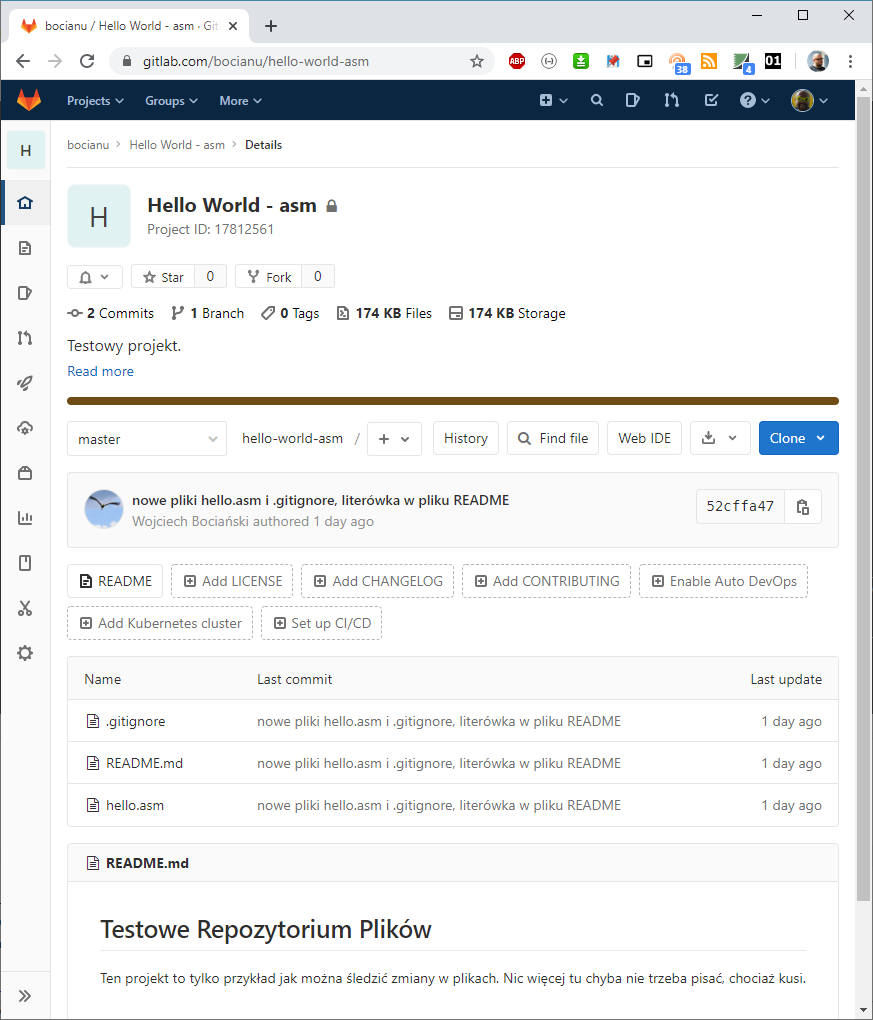 gitlab project view
